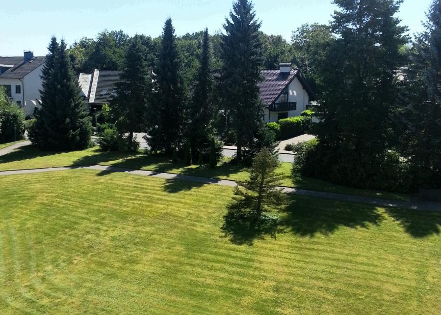 Sonniges Studio Im Haus Deutsch Krone Бад Ротенфелде Екстериор снимка